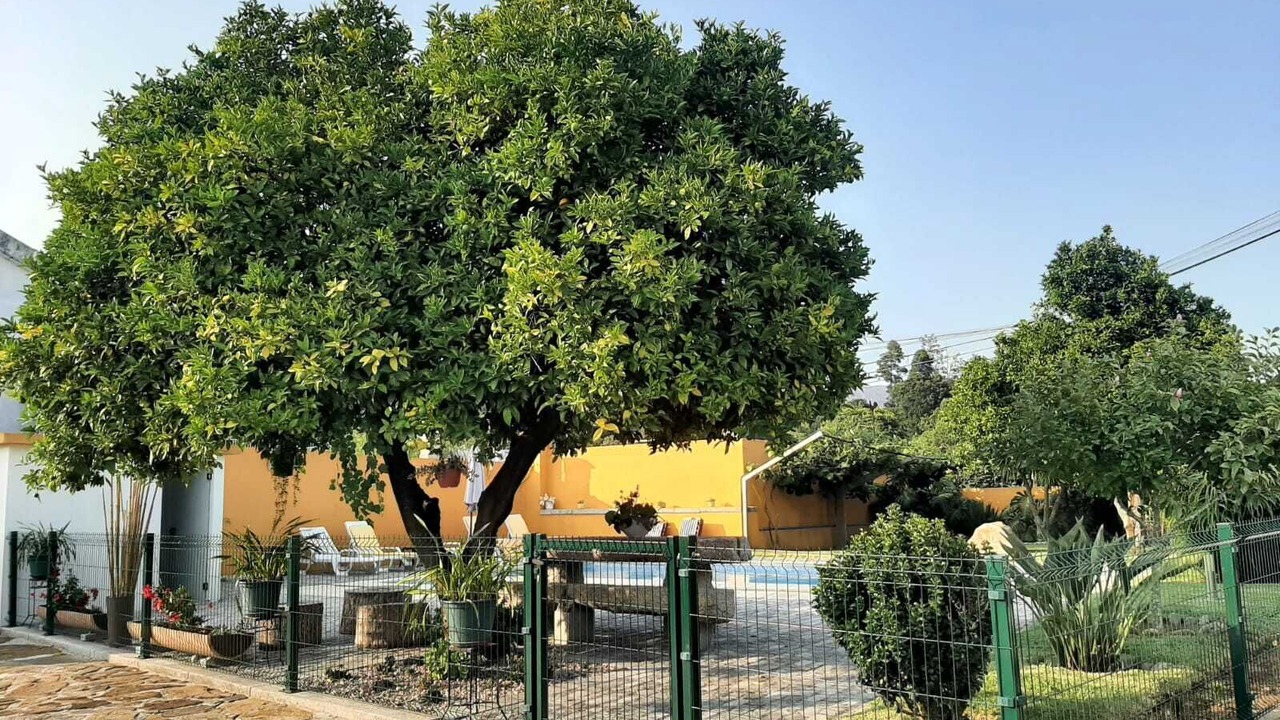 Photo of Outdoor in Cardielos