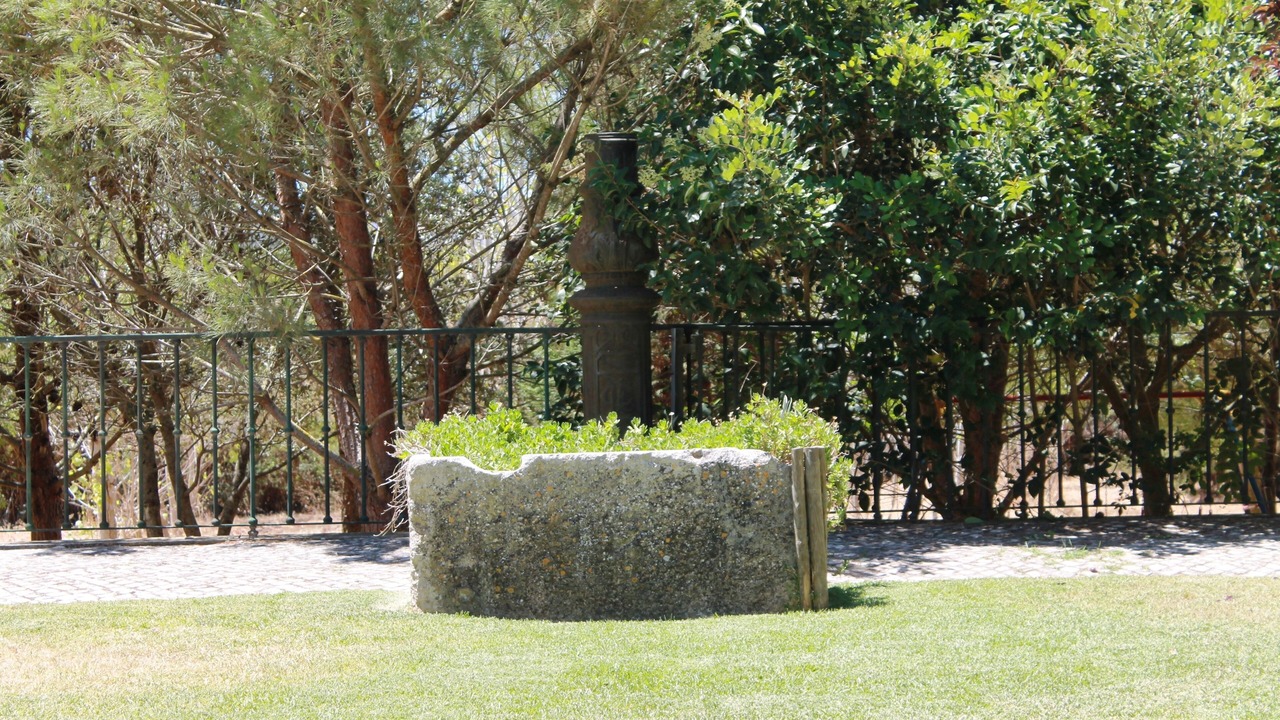Photo of Outdoor in Perofilho