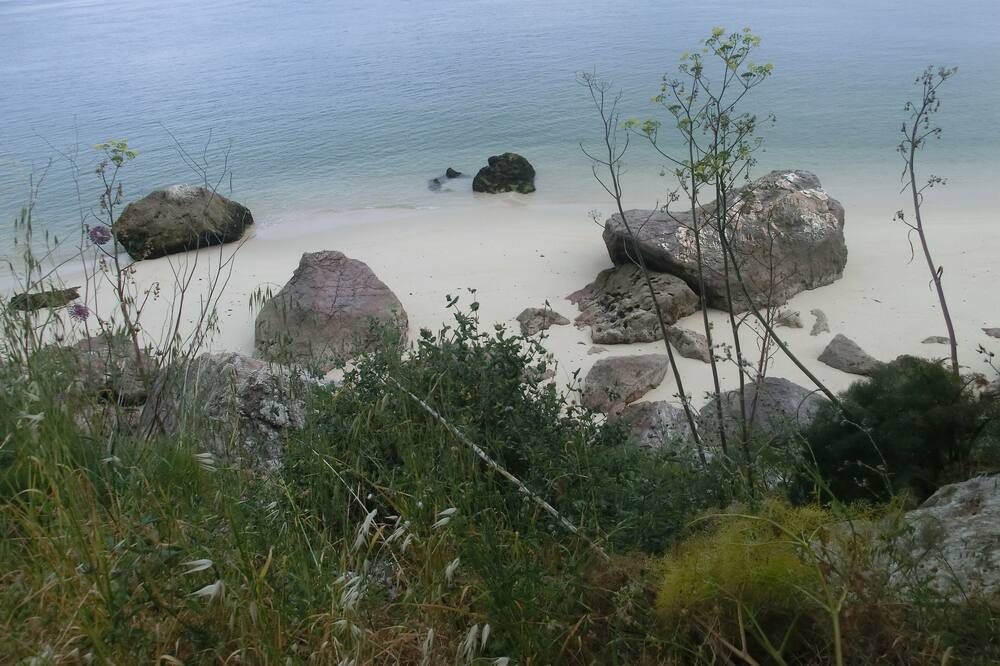 Photo of Others in Sao Simao