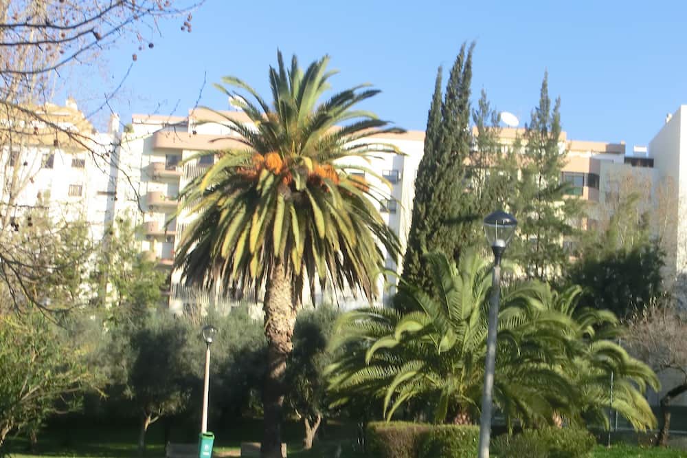 Photo of Outdoor in Sao Simao