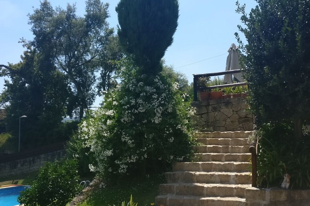 Photo of Outdoor in Celorico de Basto