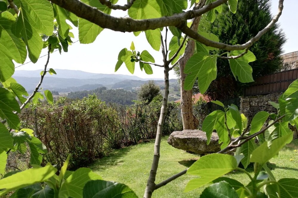 Photo of Outdoor in Celorico de Basto