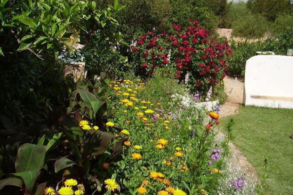 Photo of Outdoor in Ferragudo