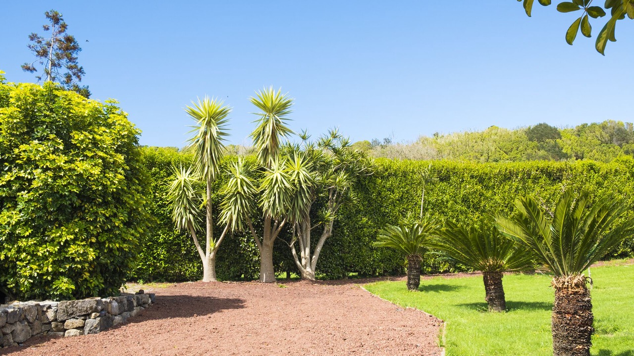 Photo of Outdoor in Horta