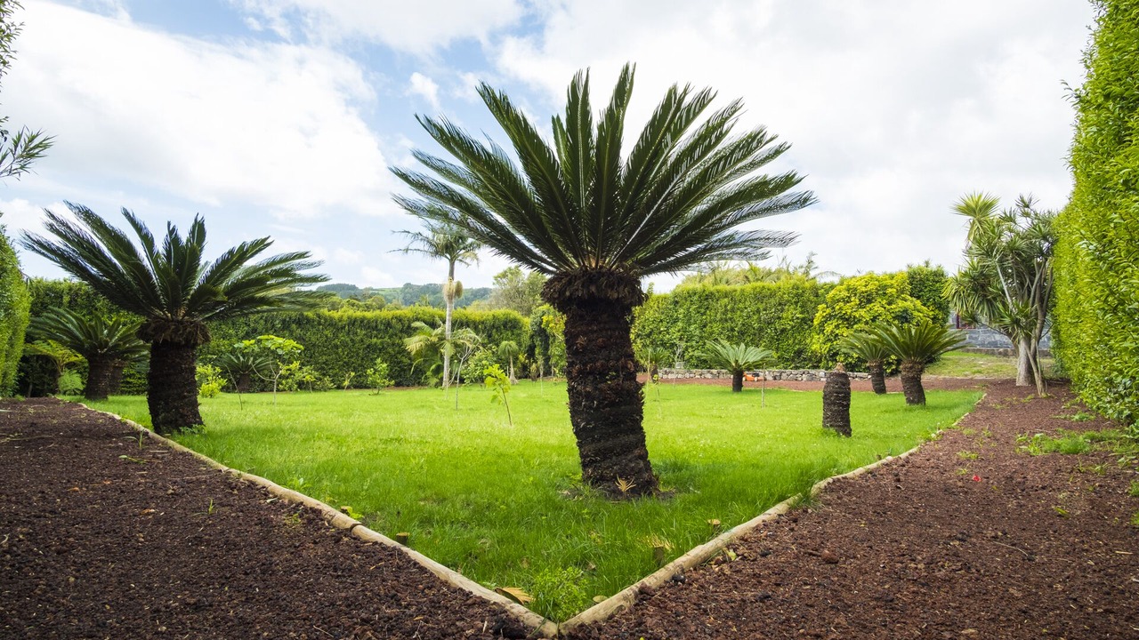 Photo of Outdoor in Horta