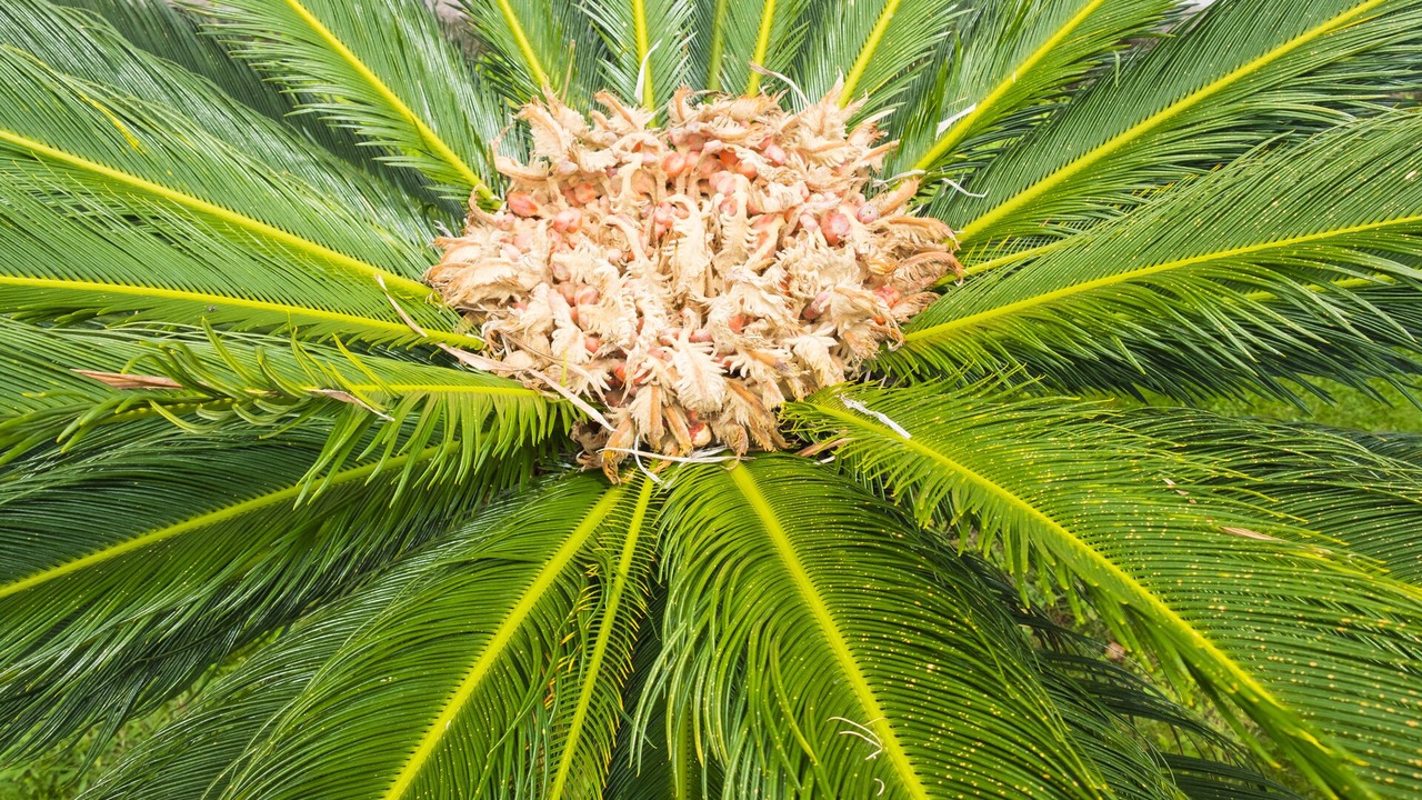 Photo of Outdoor in Horta