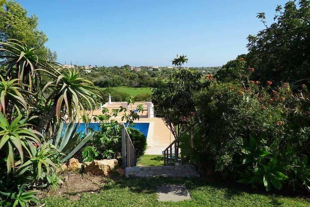 Photo of Outdoor in Luz