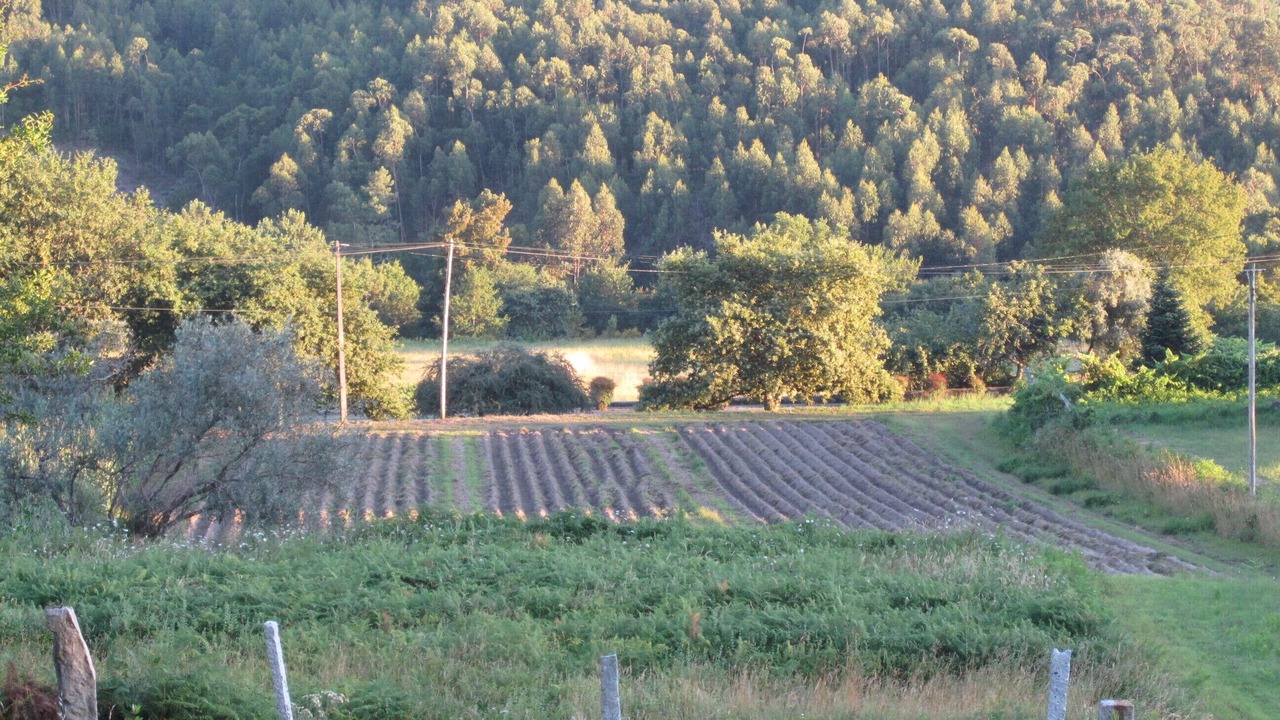 Photo of Outdoor in Viana do Castelo