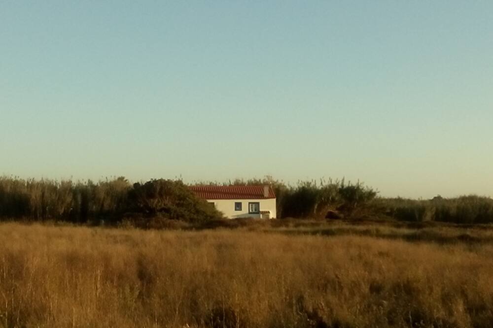 Photo of Others in Cavaleiro