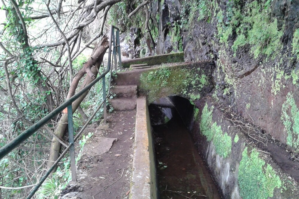 Photo of Outdoor in Camara de Lobos