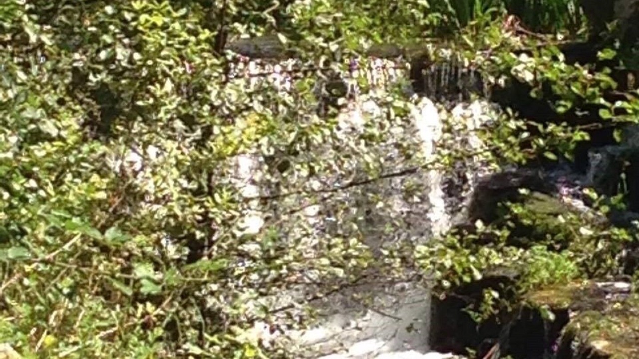 Photo of Outdoor in Povoa de Lanhoso