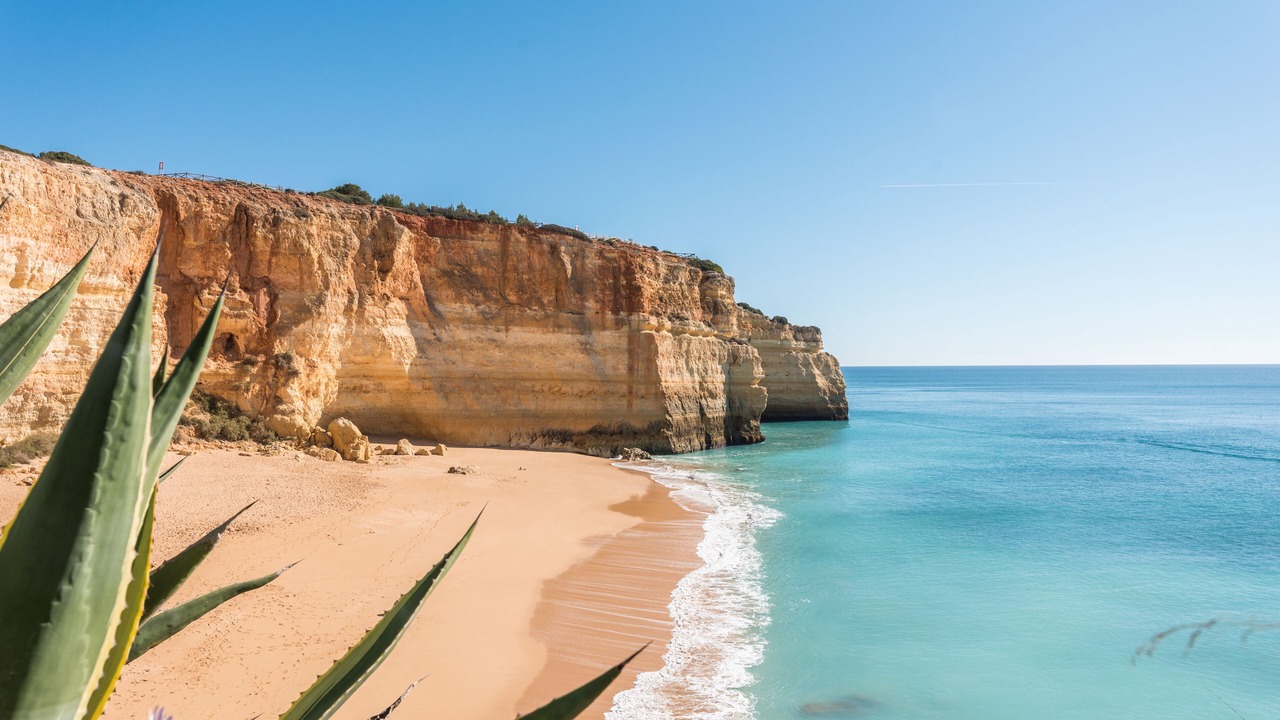 Photo of Others in Lagoa e Carvoeiro