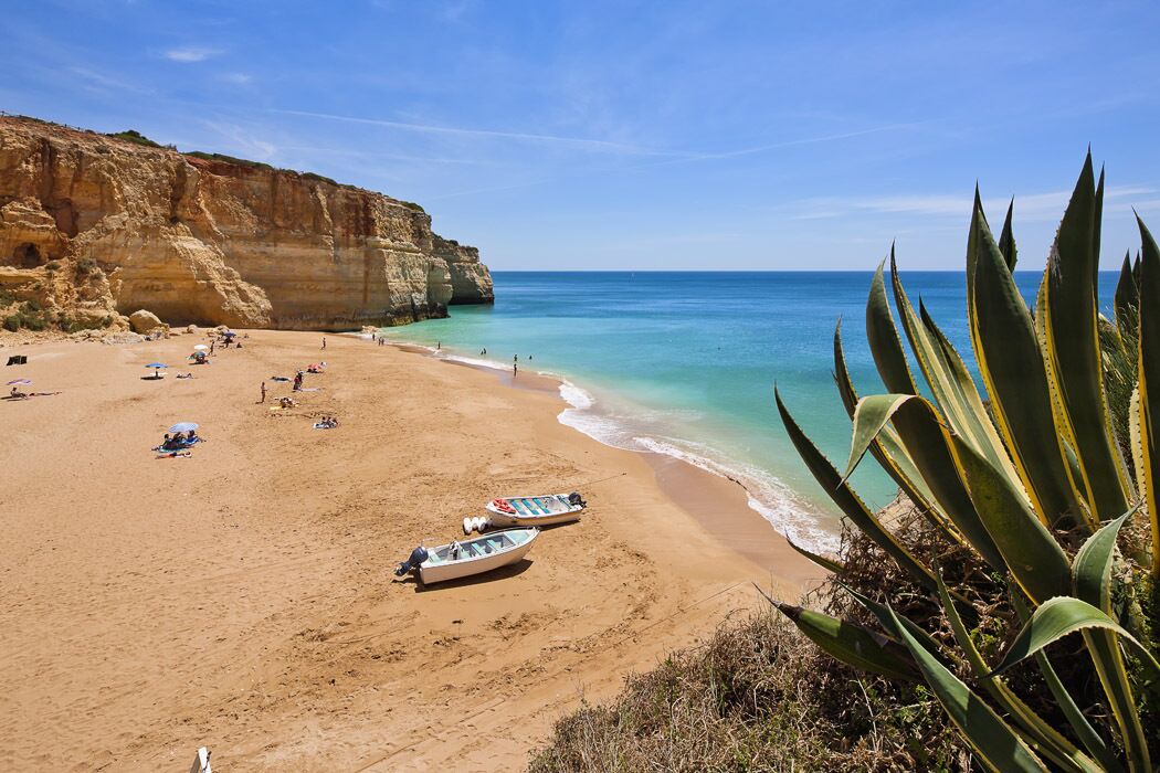 Photo of Others in Lagoa e Carvoeiro