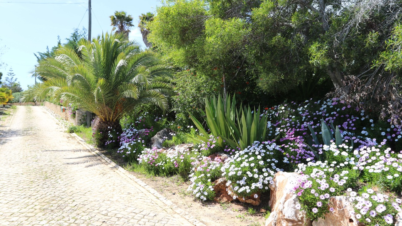 Photo of Outdoor in Albardeira