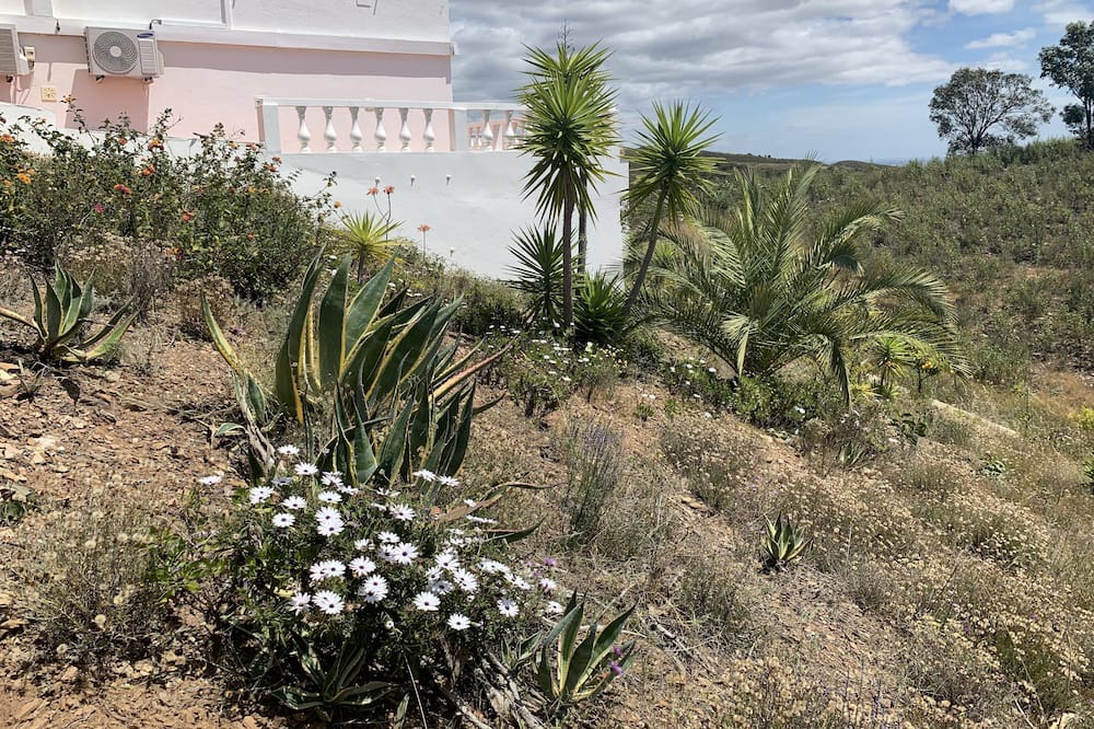 Photo of Outdoor in Conceicao