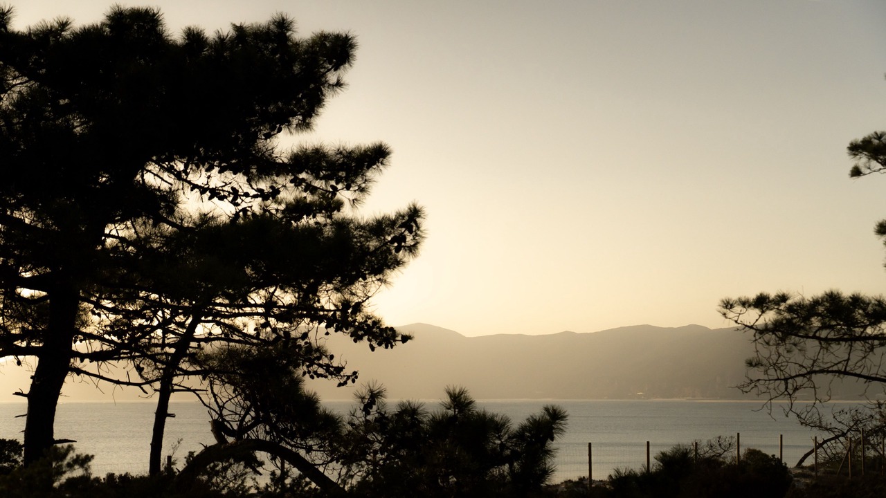 Photo of Outdoor in Carvalhal