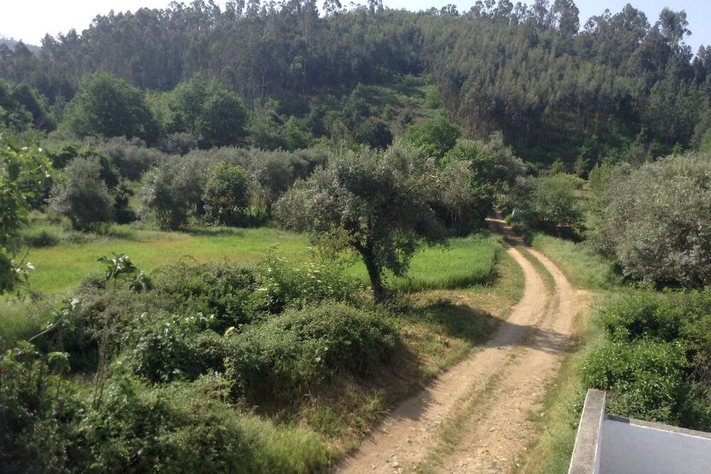 Photo of Others in Arganil