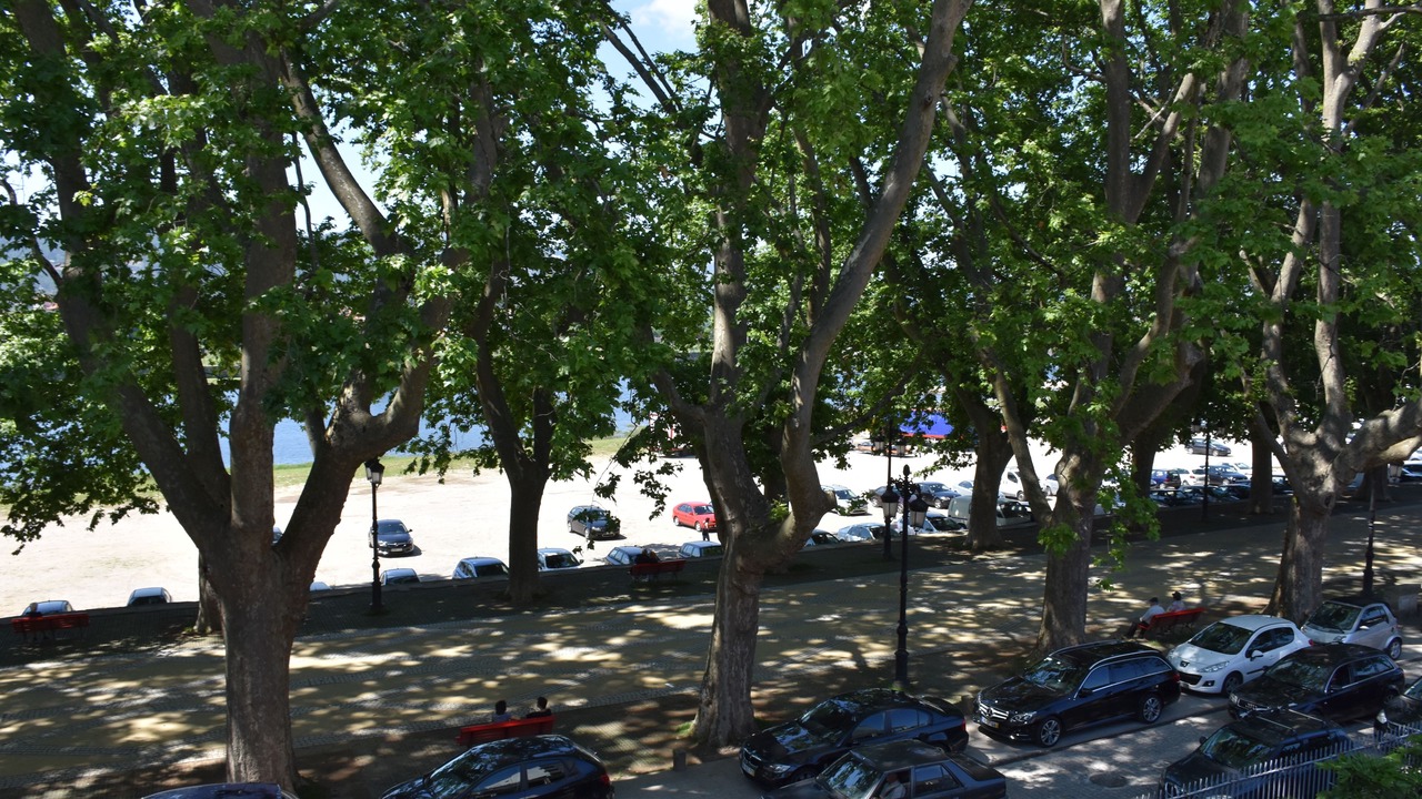 Photo of Others in Ponte de Lima