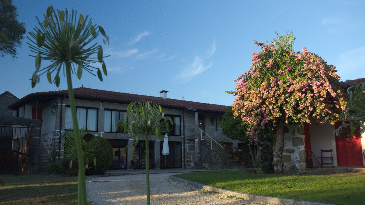 Photo of Others in Portela