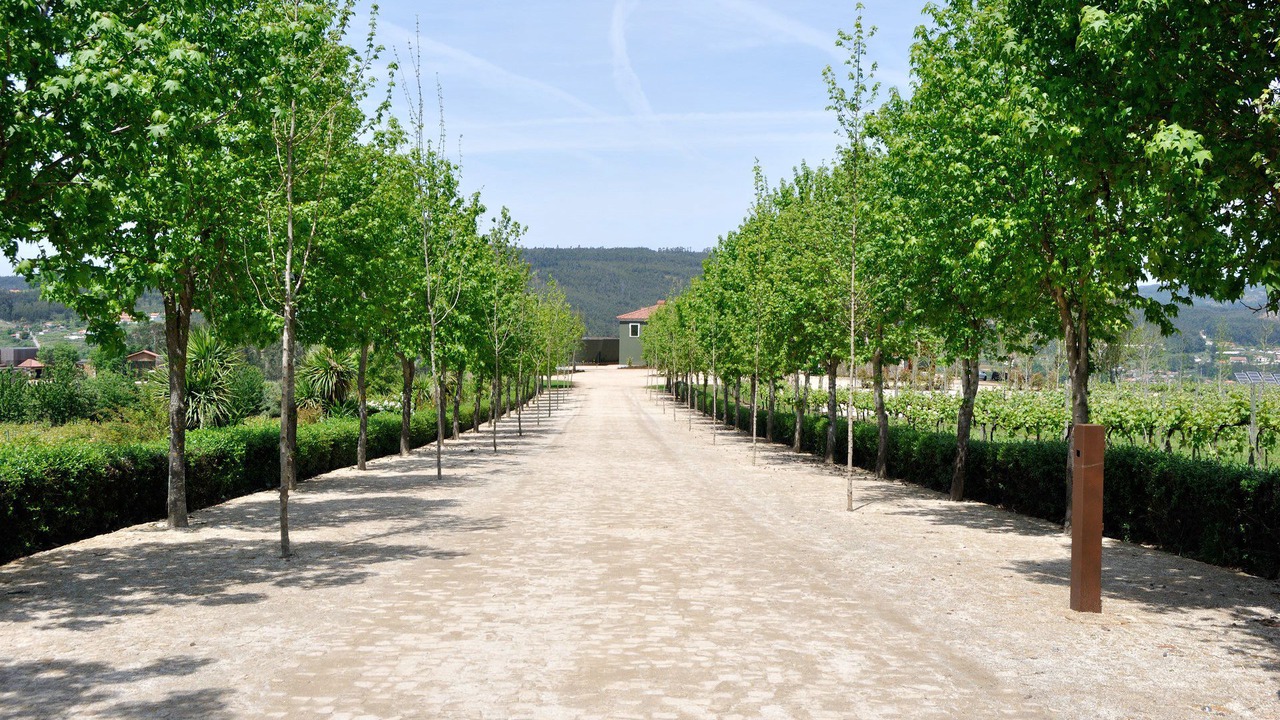 Photo of Outdoor in Teloes