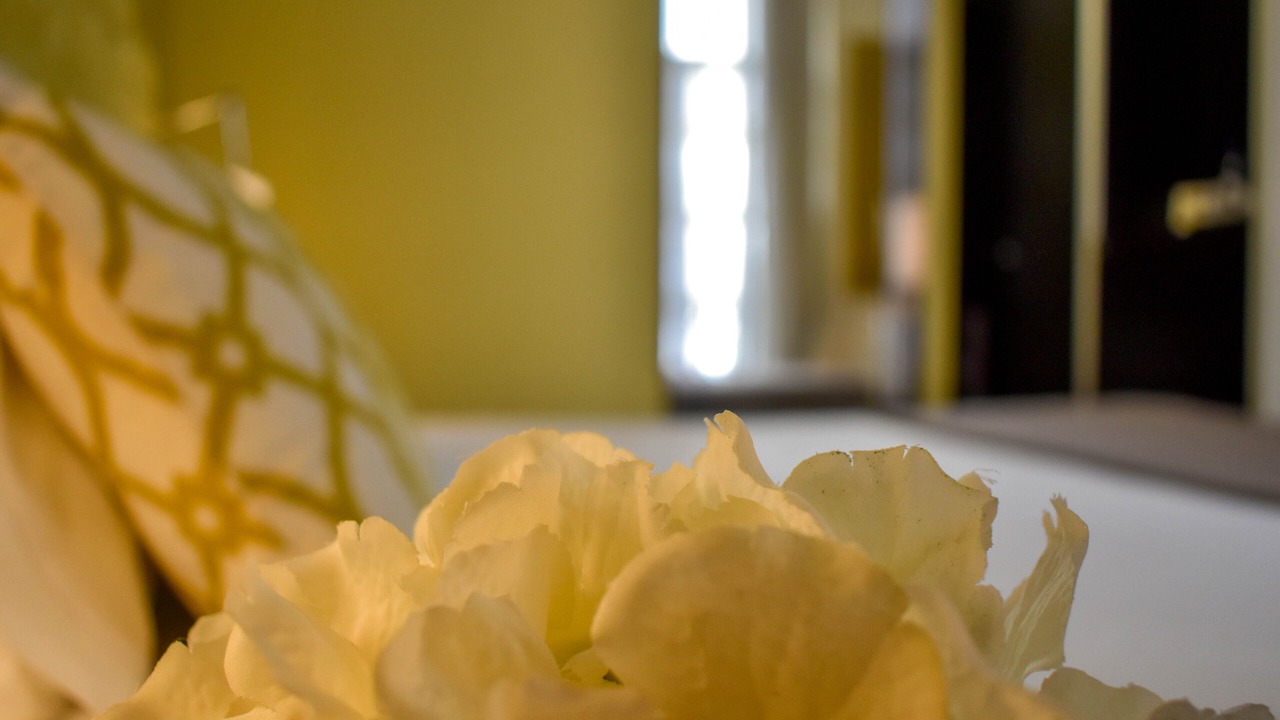 Photo of Bedroom in Sao Juliao da Figueira da Foz