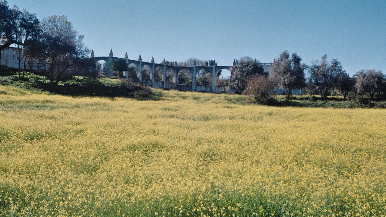 Photo of Outdoor in Vila Vicosa