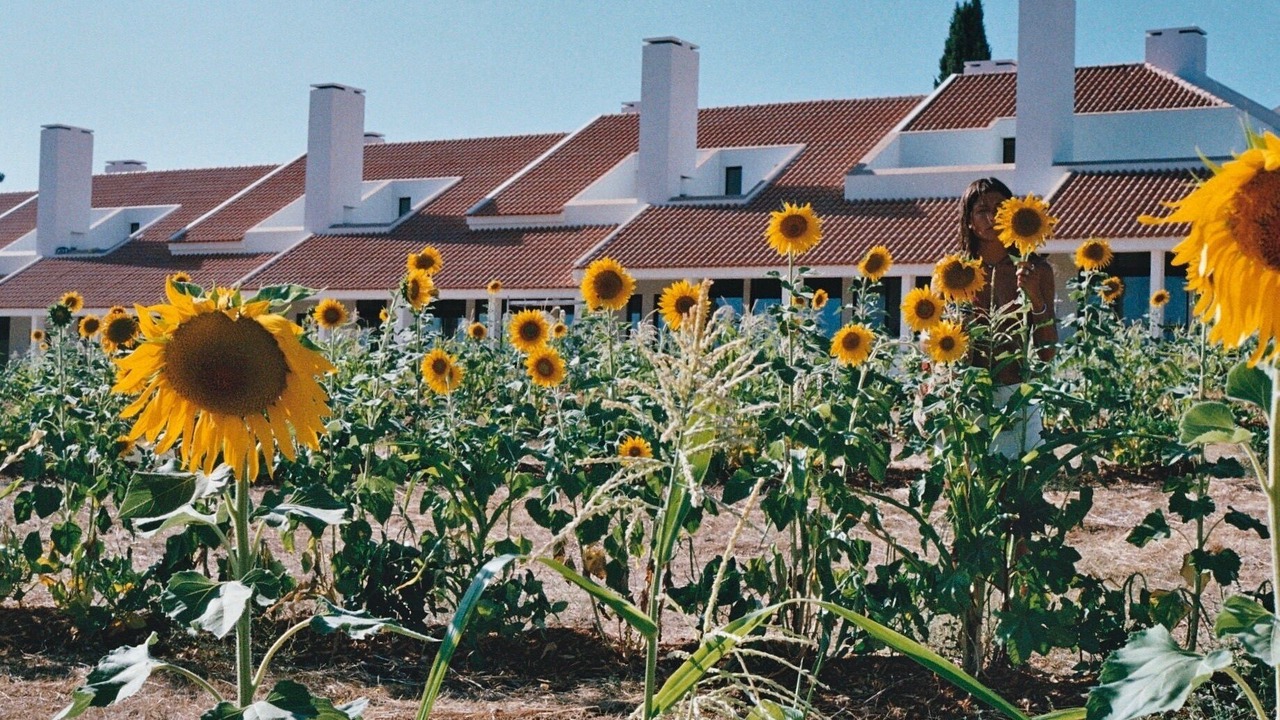 Photo of Outdoor in Vila Vicosa