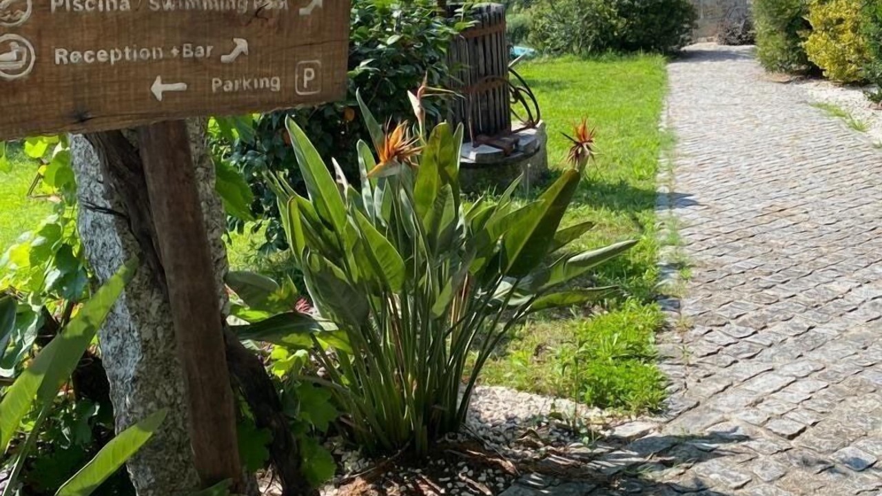 Photo of Outdoor in Guimaraes