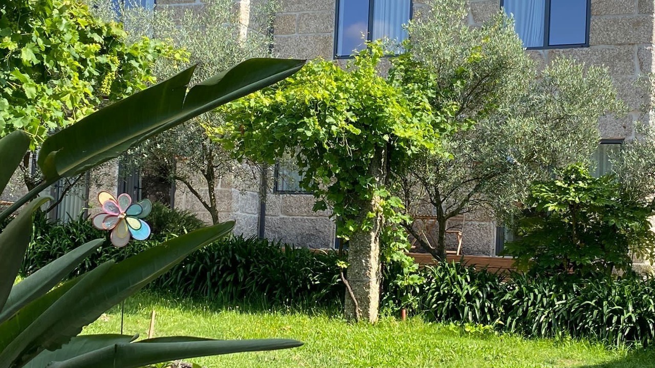 Photo of Outdoor in Guimaraes