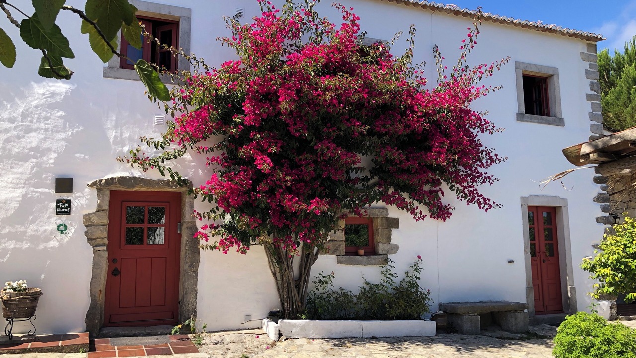 Photo of Outdoor in Reguengo Grande