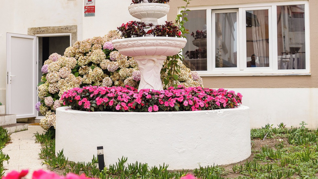 Photo of Outdoor in Praia das Macas