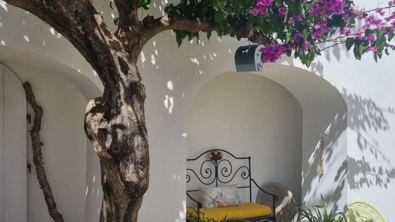 Photo of Outdoor in Sines