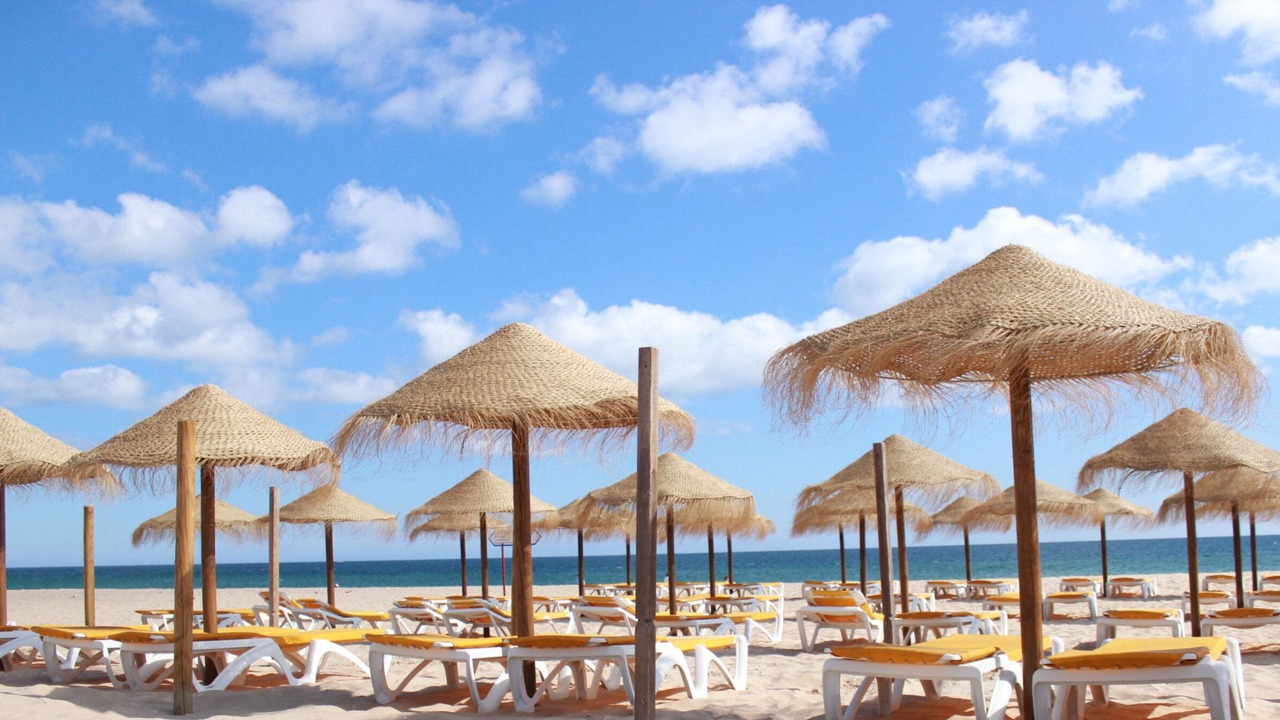 Photo of Others in Calicos