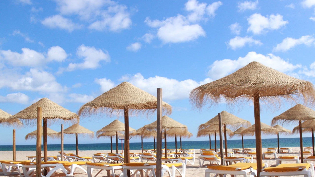 Photo of Others in Calicos