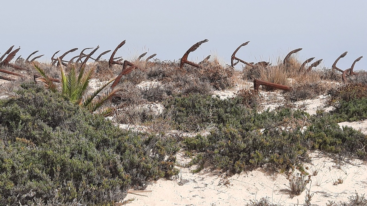 Photo of Others in Santa Luzia