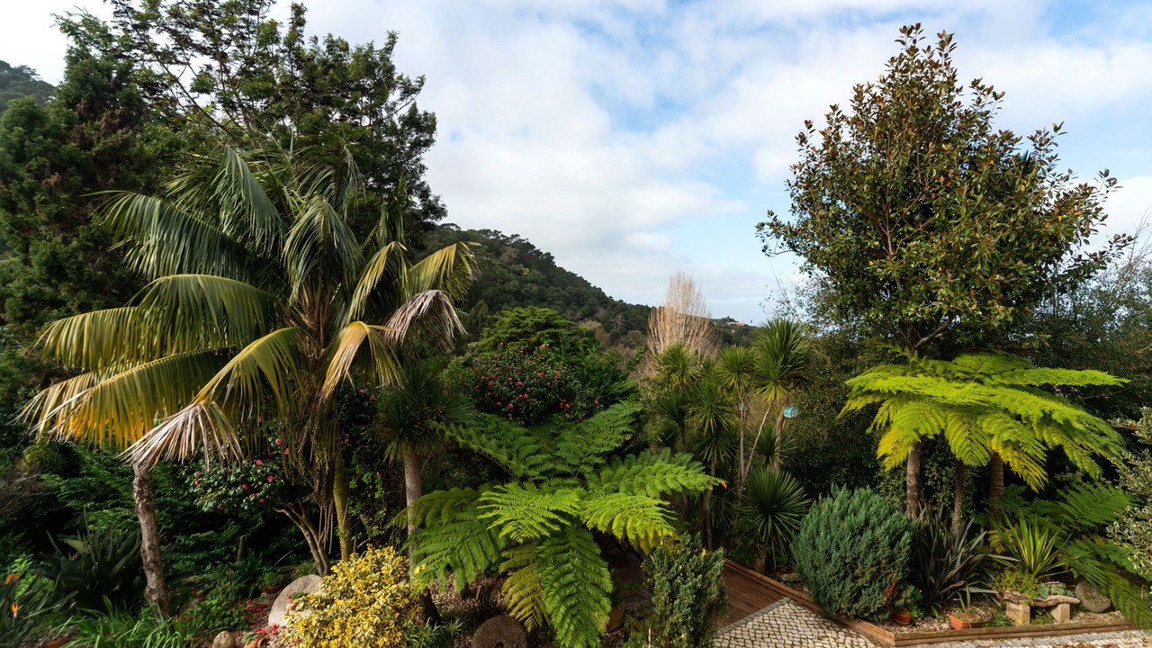 Photo of Outdoor in Monserrate
