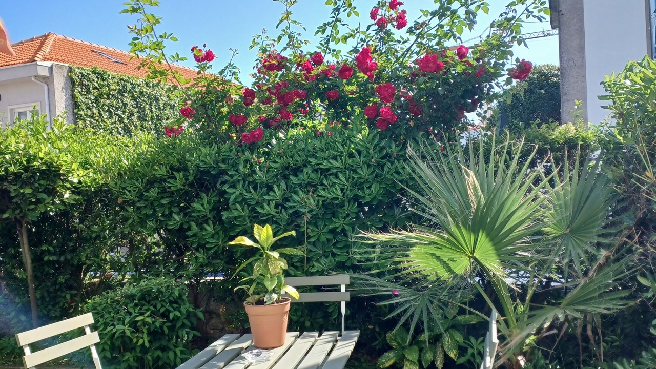 Photo of Outdoor in Leixões