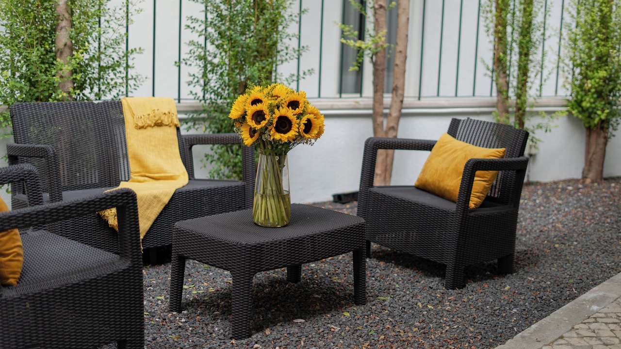 Photo of Outdoor in Sao Jose