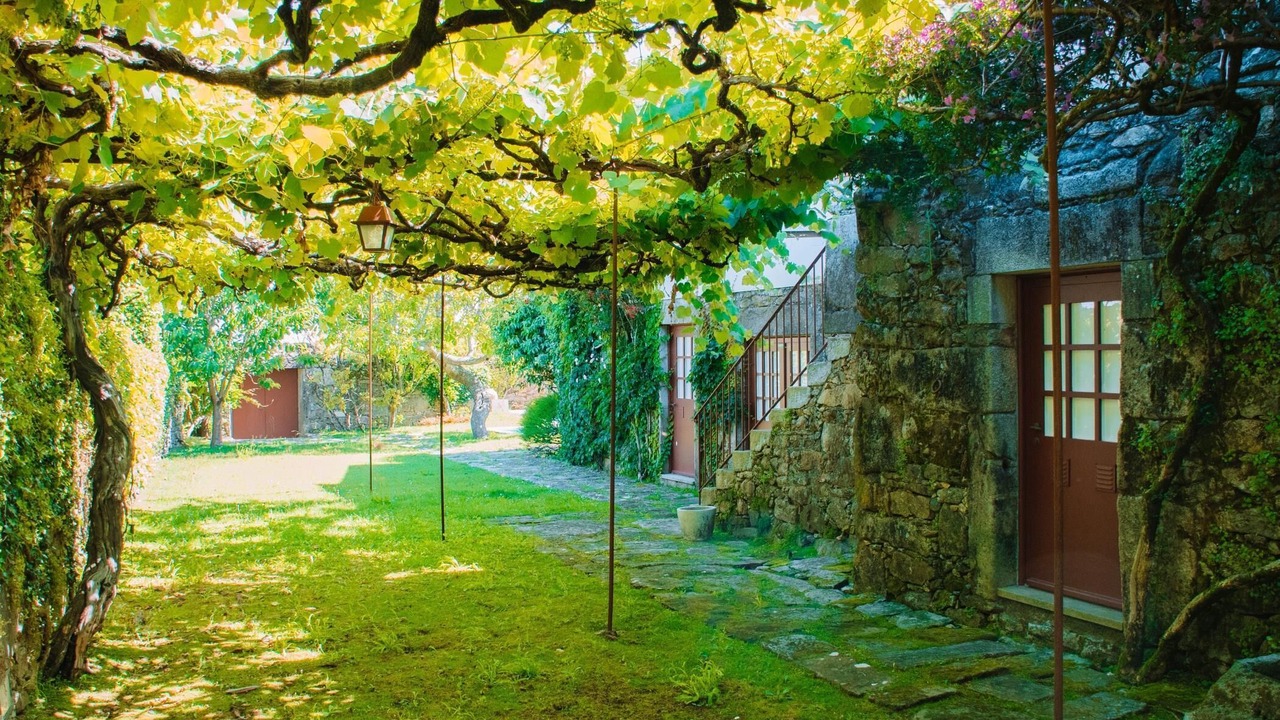 Photo of Outdoor in Barcelos