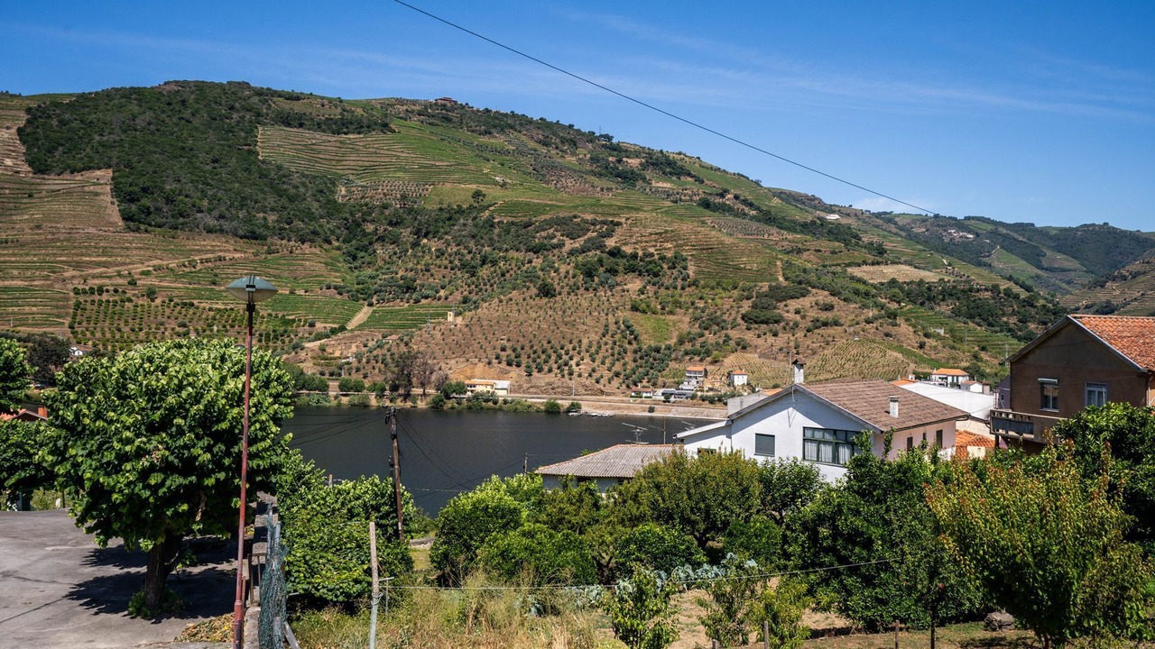 Photo of Outdoor in Armamar