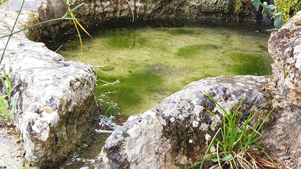 Photo of Outdoor in Mafra