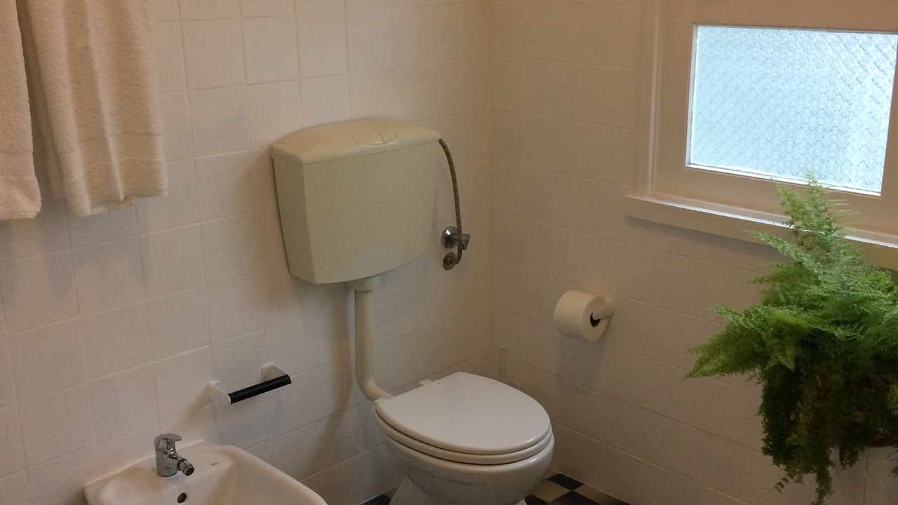 Photo of Bathroom in Faja de Baixo