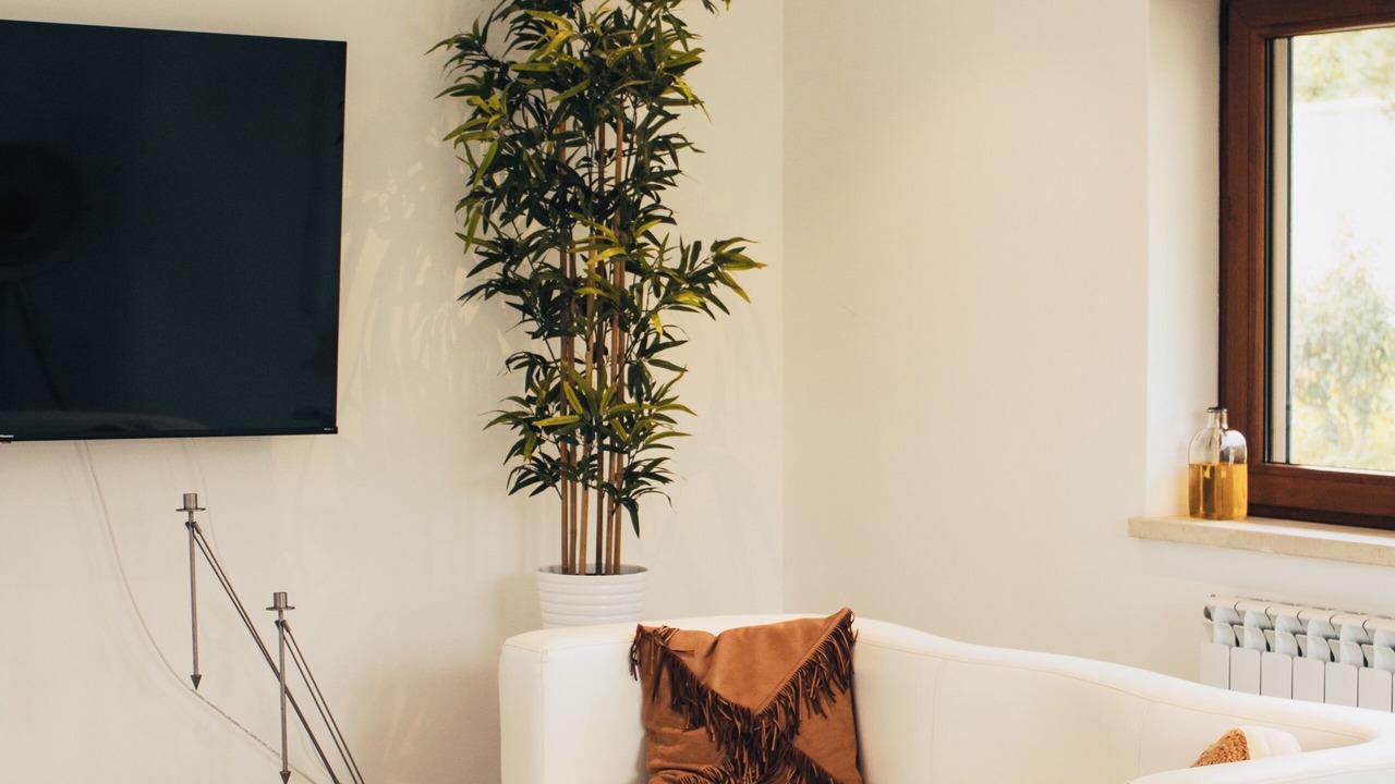 Photo of Livingroom in Atalaia