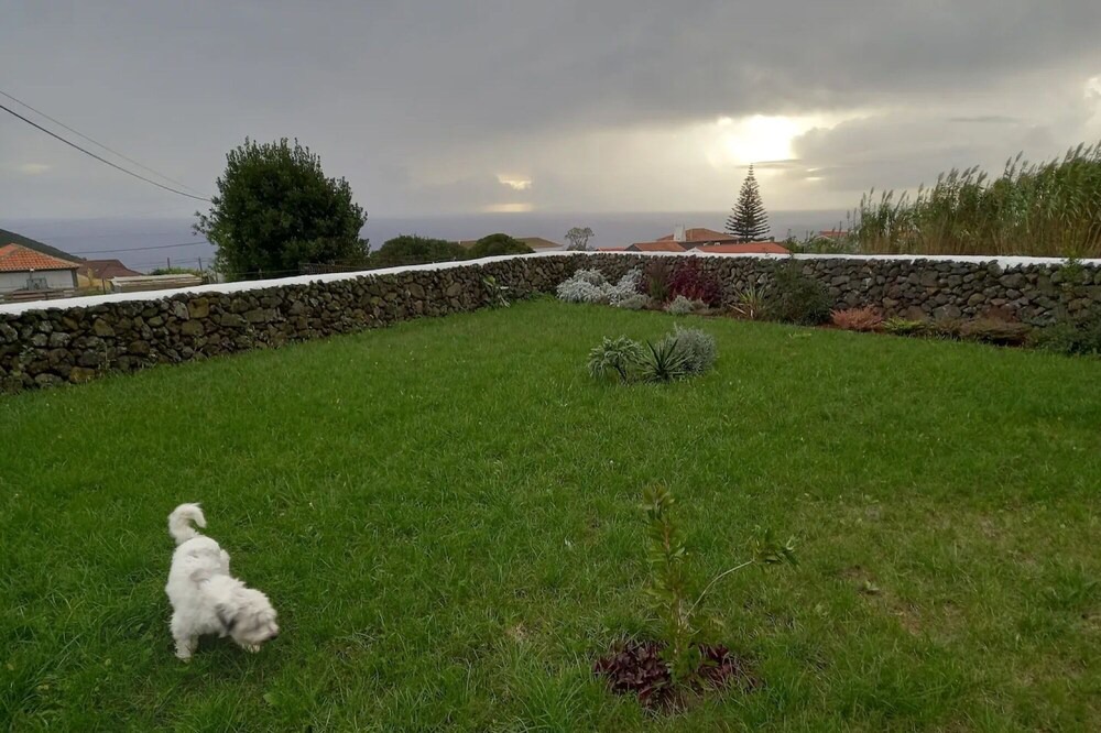 Photo of Outdoor in Angra do Heroismo