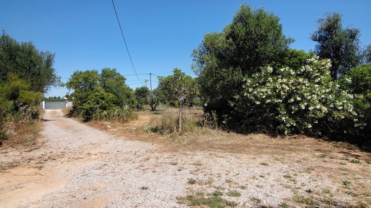 Photo of Outdoor in Fonte do Bispo