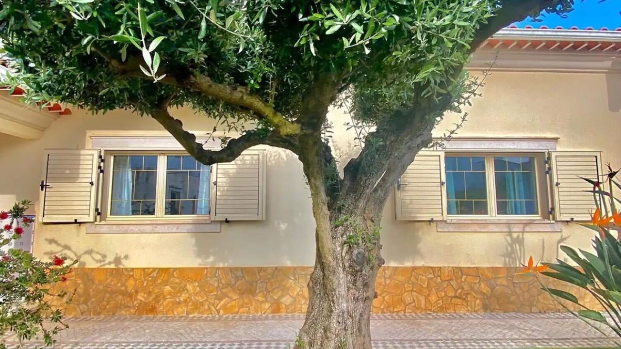 Photo of Outdoor in Alqueidao da Serra