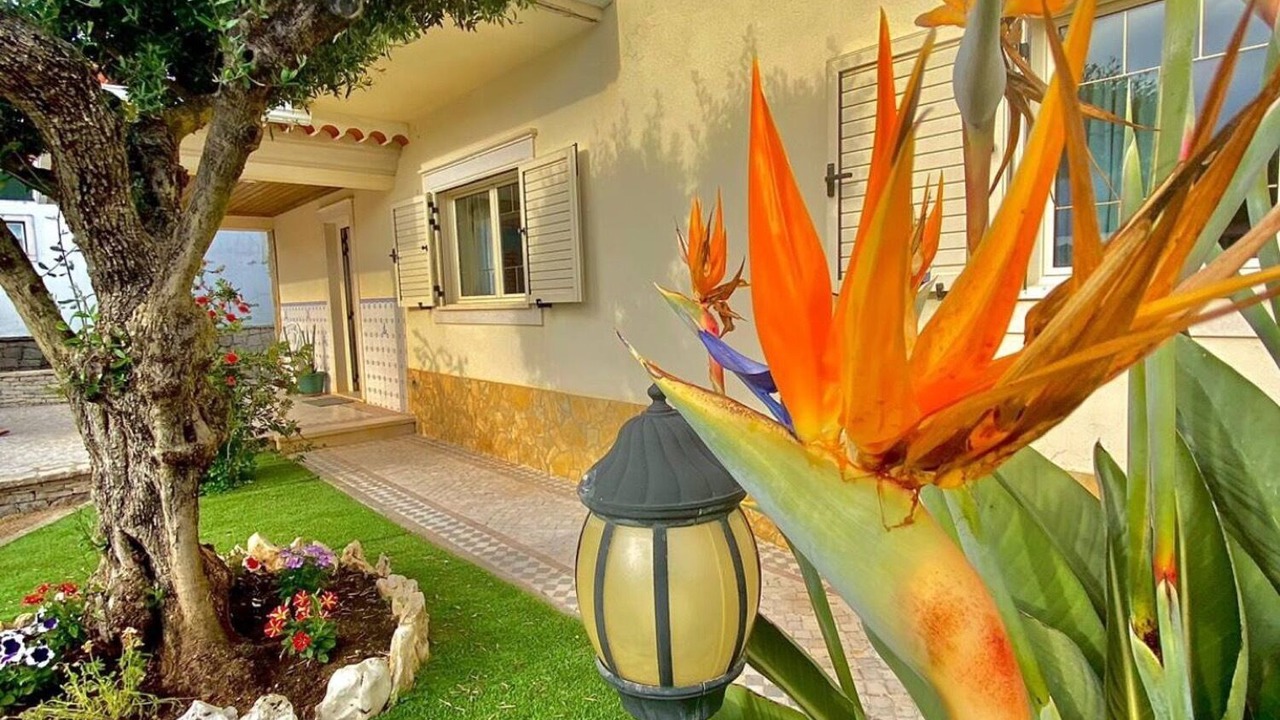 Photo of Outdoor in Alqueidao da Serra