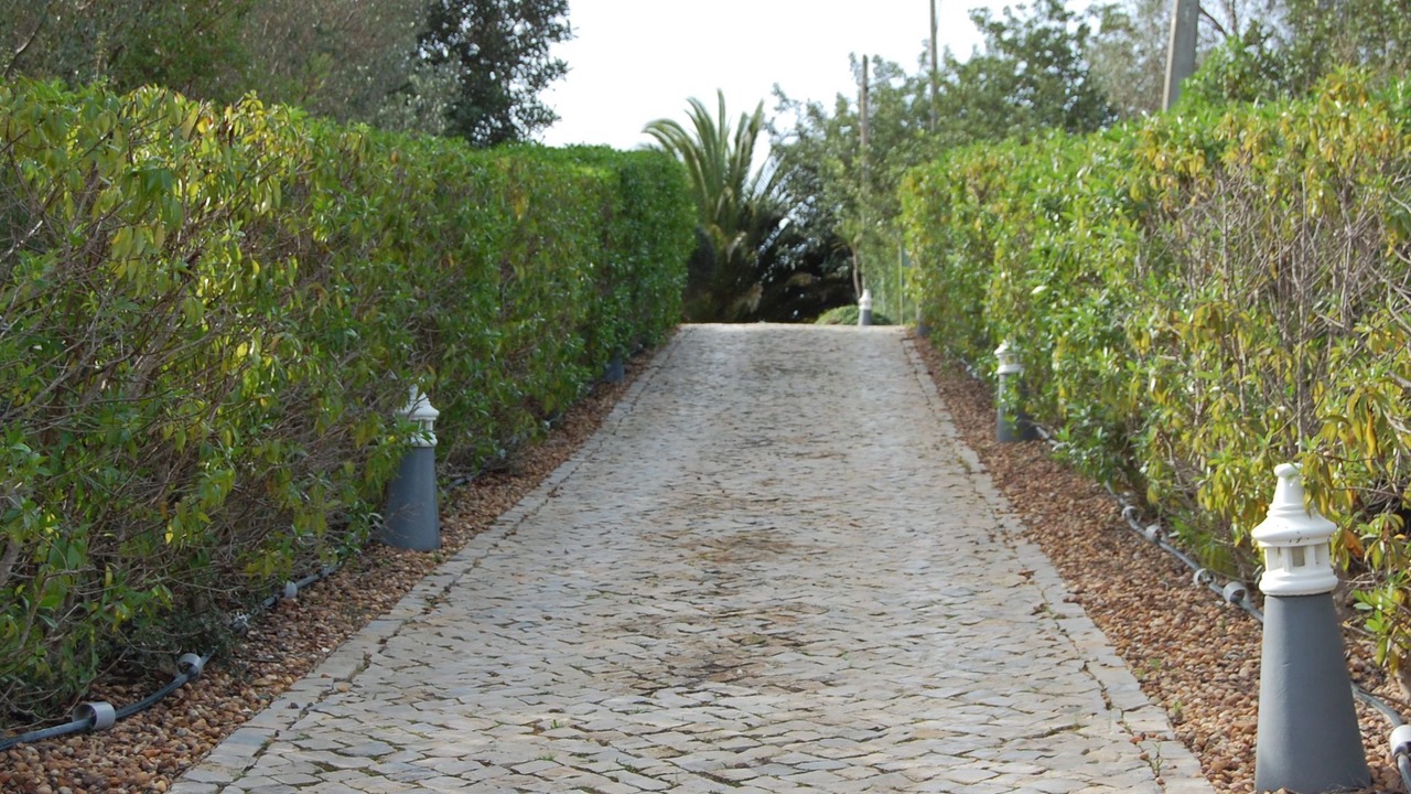Photo of Outdoor in Almancil