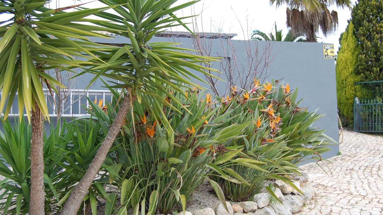 Photo of Outdoor in Almancil