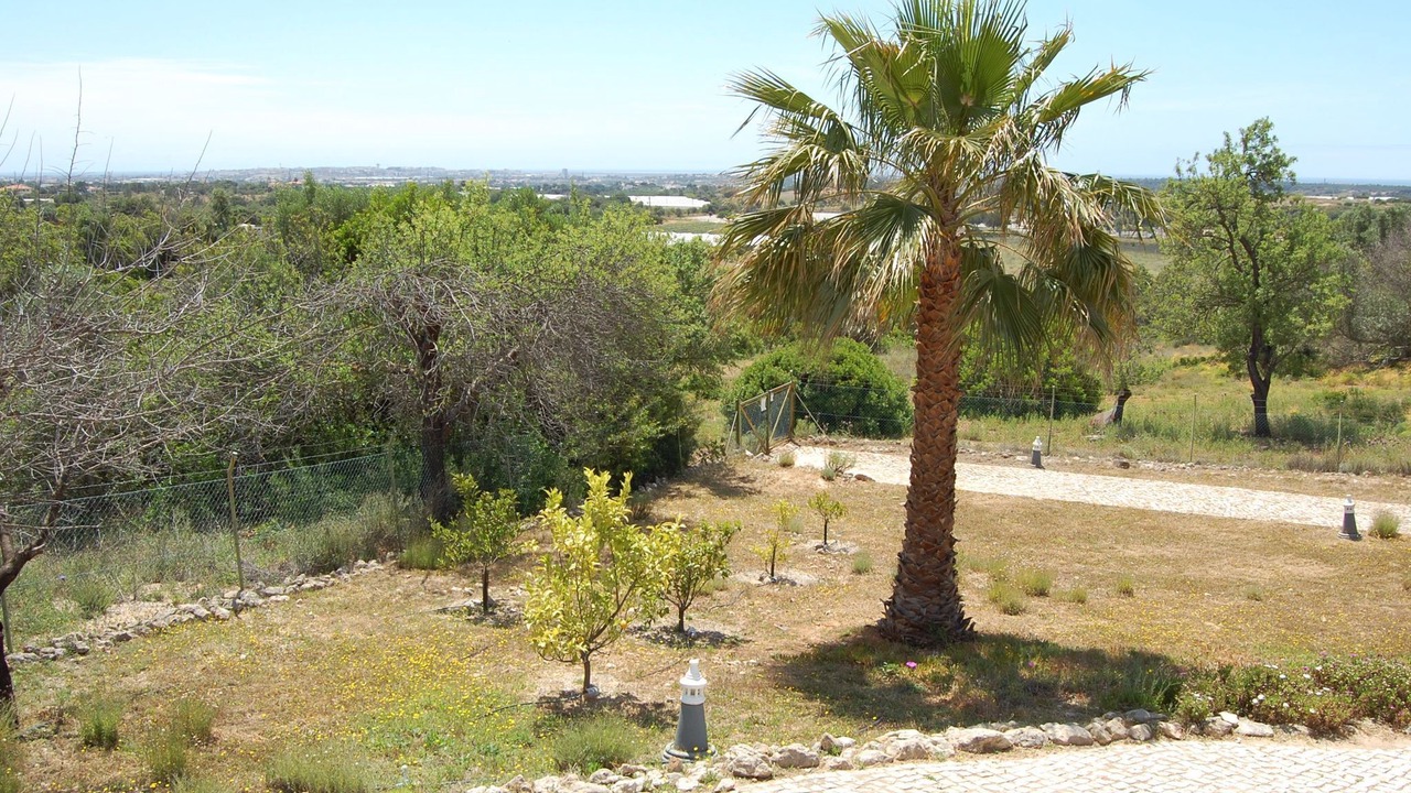 Photo of Outdoor in Almancil